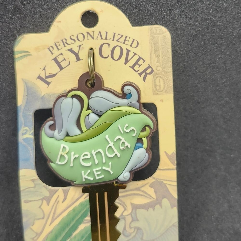 Brenda Key Green Key Cover